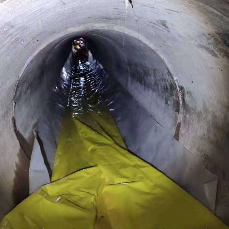 元谋管道光固化修复